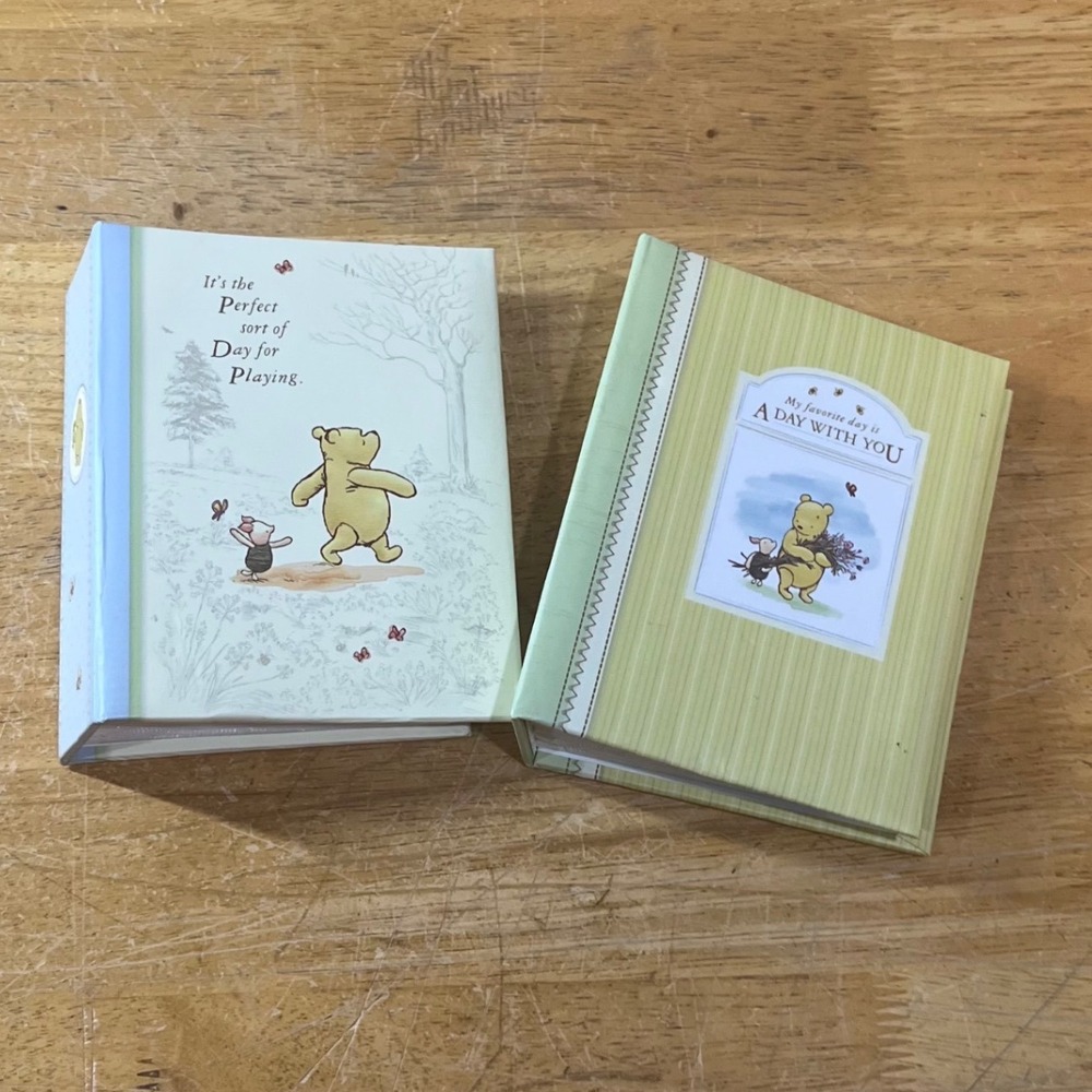 Disney Winnie the Pooh Photo Albums Set of 2 Vtg Blue Green Small Keepsake